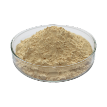 Brewers Yeast For Feed Additive feed grade Cinnamon powder Supplier